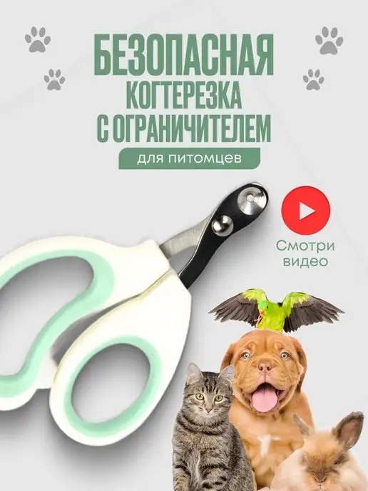 Аксессуары для кошек от ведущих брендов в зоомагазине Petplus