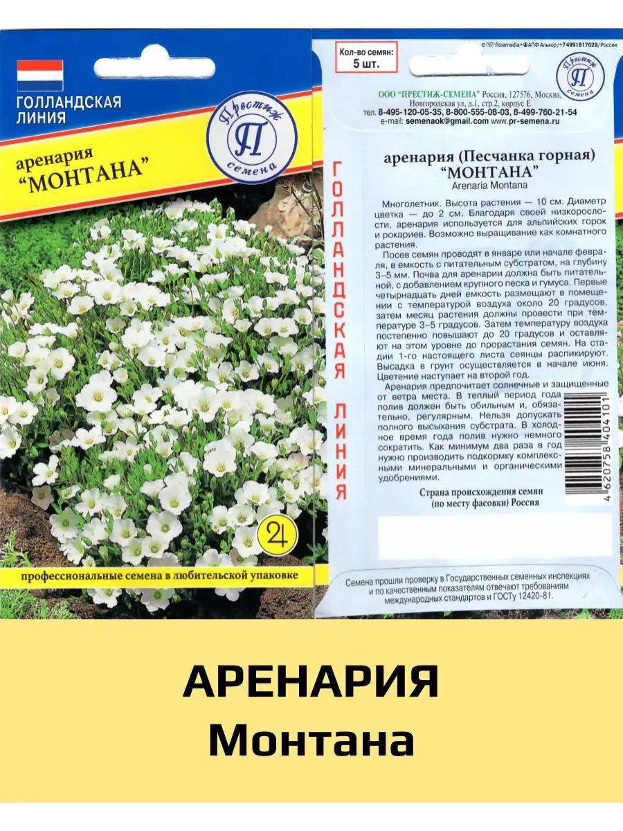 Семена Аренария (Песчанка горная) Монтана, 1 уп Престиж купить по цене 190  ₽ в интернет-магазине Wildberries | 161382622