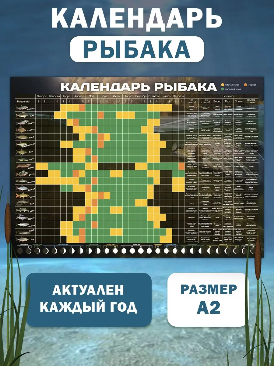 Лунный календарь рыбака Подарок мужчине для рыбалки Новая идея купить по  цене 450 ₽ в интернет-магазине Wildberries | 161483310