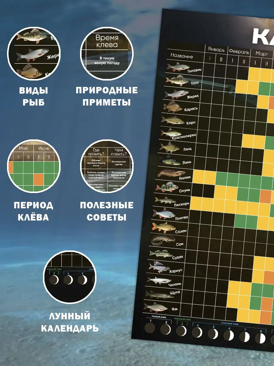 Лунный календарь рыбака Подарок мужчине для рыбалки Новая идея купить по  цене 450 ₽ в интернет-магазине Wildberries | 161483310