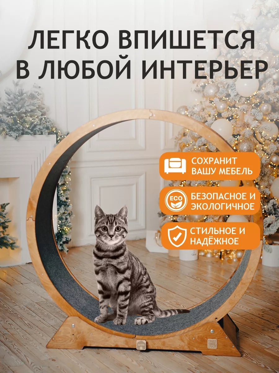 Беговое колесо для кошек - Кошки - Форумы витамин-п-байкальский.рф - все о птицах