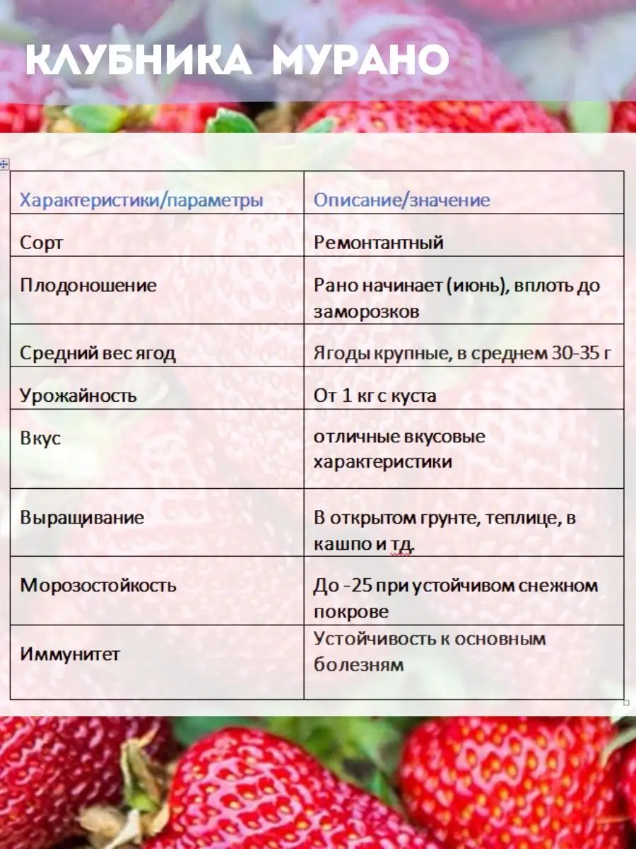 Клубника ремонтантная Мурано В кассетах 6шт Белорусские саженцы купить по  цене 0 сум в интернет-магазине Wildberries в Узбекистане | 162084001