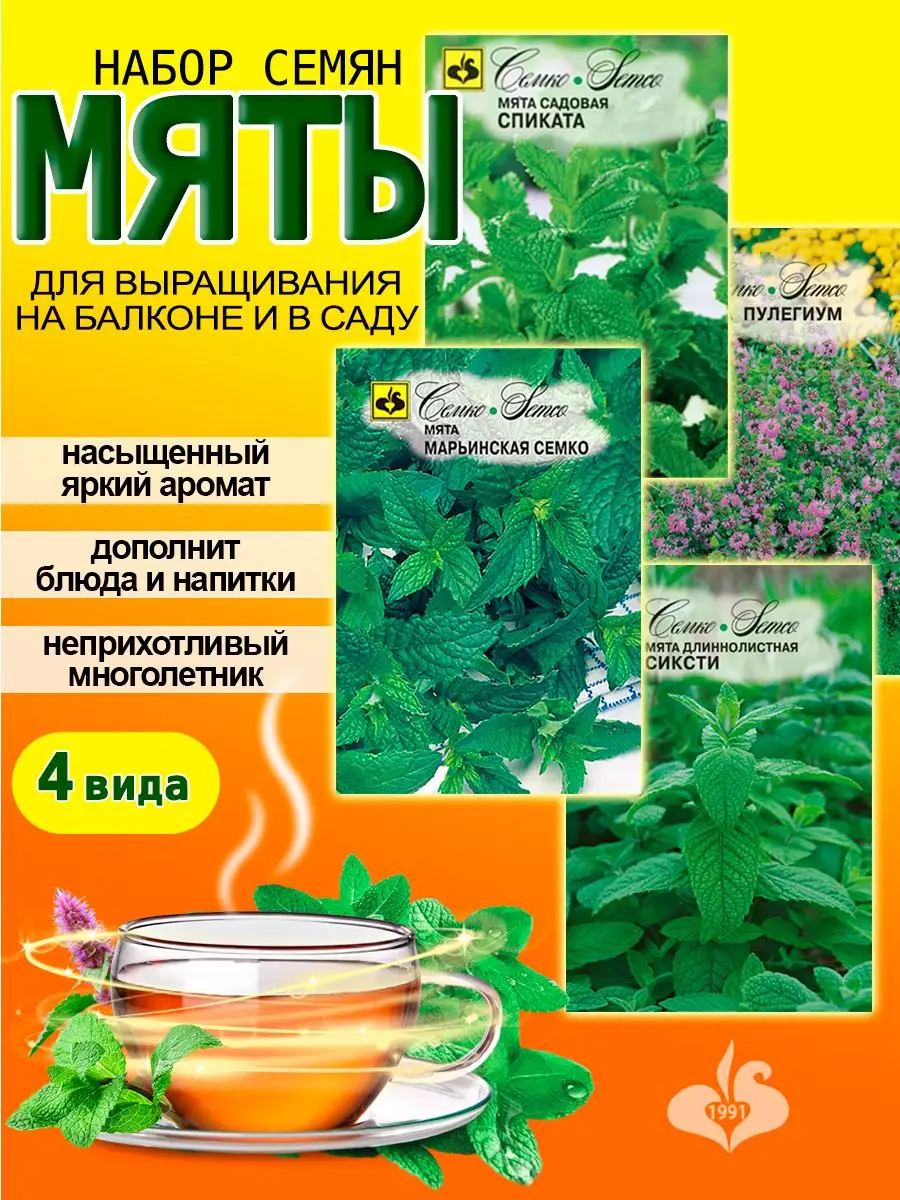 Семена Мяты Купить