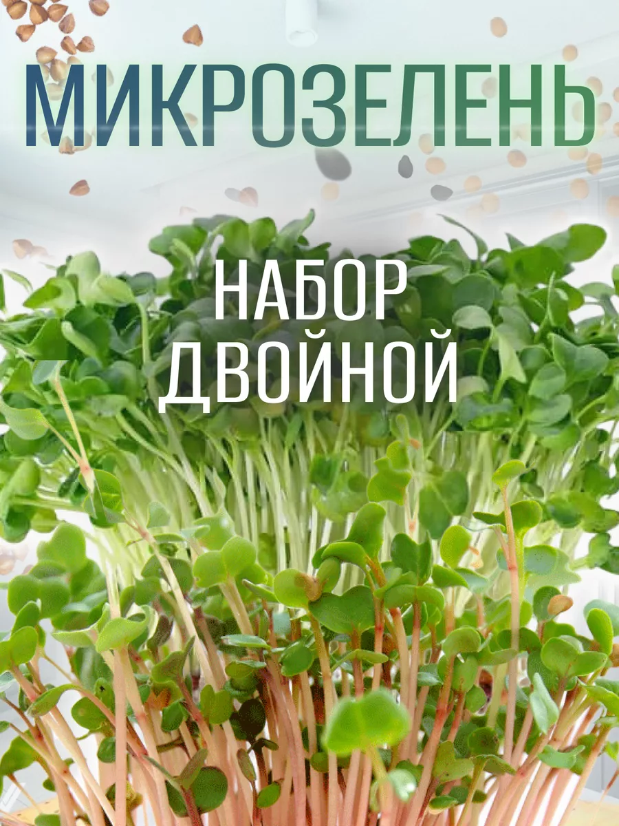 Микрозелень набор для выращивания 10 урожаев ДомСолнца купить по цене 149 ₽  в интернет-магазине Wildberries | 162440576