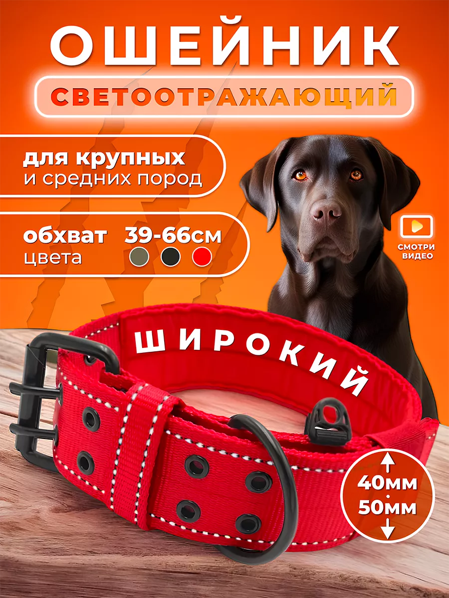 Ошейник широкий для собак крупных пород Doggy&Dog Shop купить по цене 677 ₽  в интернет-магазине Wildberries | 162865152