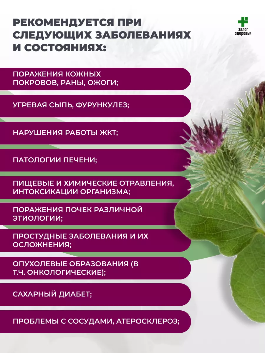 Травяная настойка Сок лопуха майского (лист), 100 мл Залог Здоровья купить  по цене 0 сум в интернет-магазине Wildberries в Узбекистане | 163064837