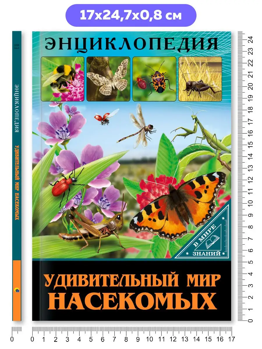 Энциклопедия В мире знаний Удивительный мир насекомых Проф-Пресс купить по  цене 186 ₽ в интернет-магазине Wildberries | 163202385