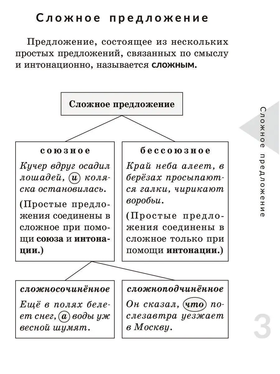 Сложноподчинённое предложение ИД ЛИТЕРА купить по цене 108 ₽ в  интернет-магазине Wildberries | 163257739