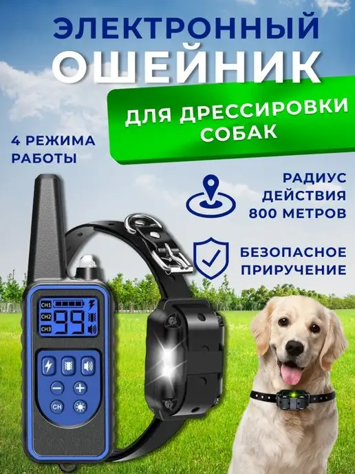 шокер