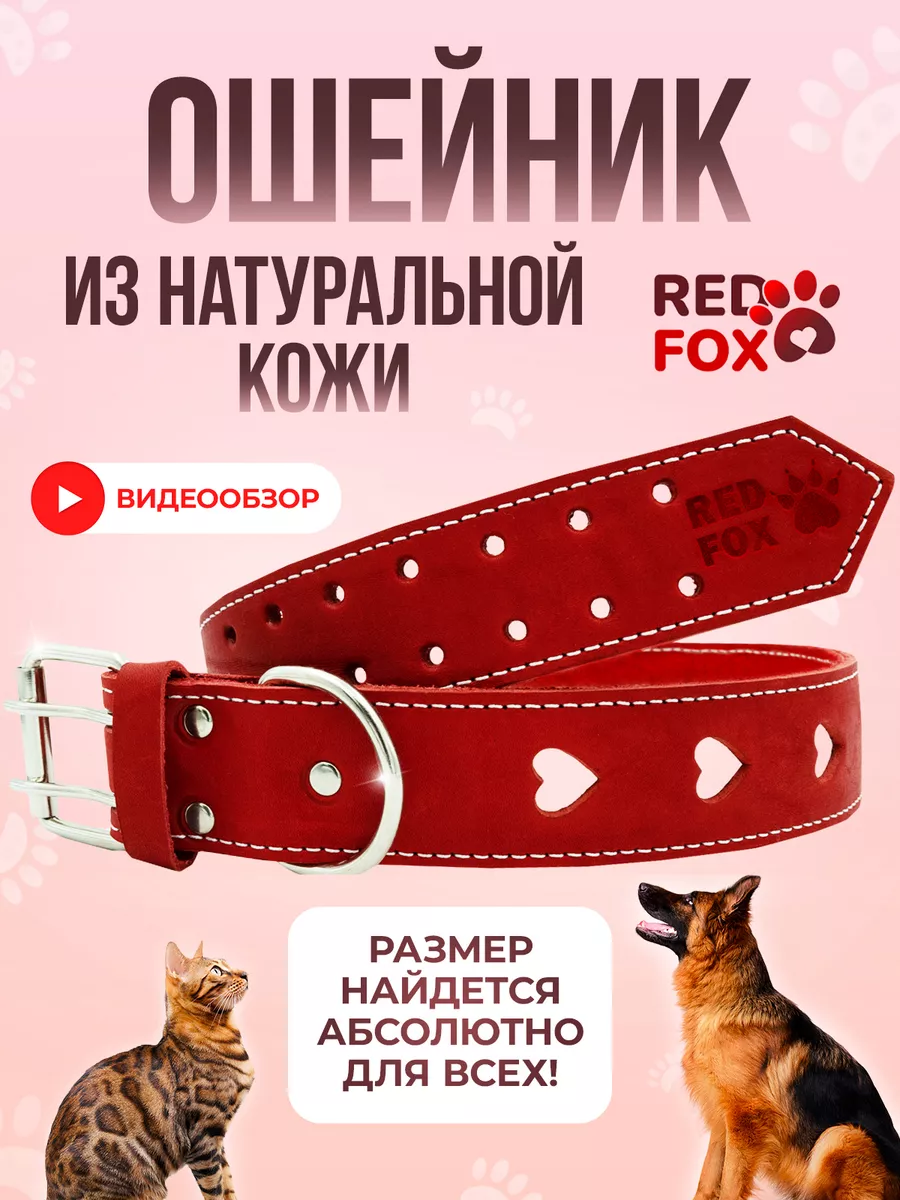 Ошейник для собак кошек мелких средних крупных пород кожаный _RedFOX_  купить по цене 328 ₽ в интернет-магазине Wildberries | 163667581