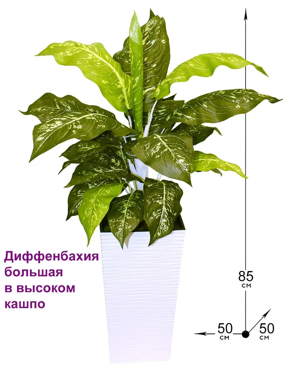 Диффенбахия большая в высоком кашпо Фитопарк купить по цене 3 605 ₽ в  интернет-магазине Wildberries | 163699447