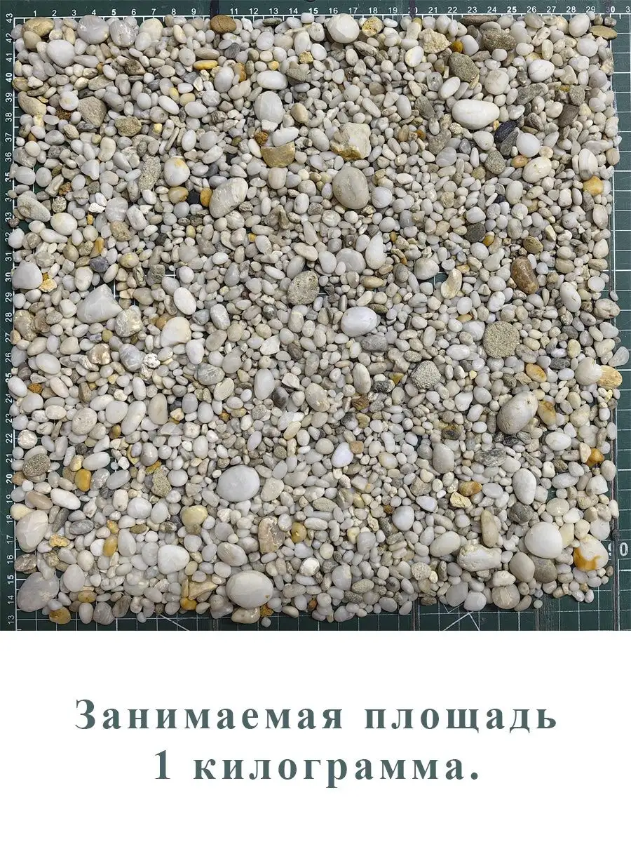 Камни декоративные Жемчужная галька СУНДУК СОКРОВИЩ купить по цене 230 ₽ в  интернет-магазине Wildberries | 163717570