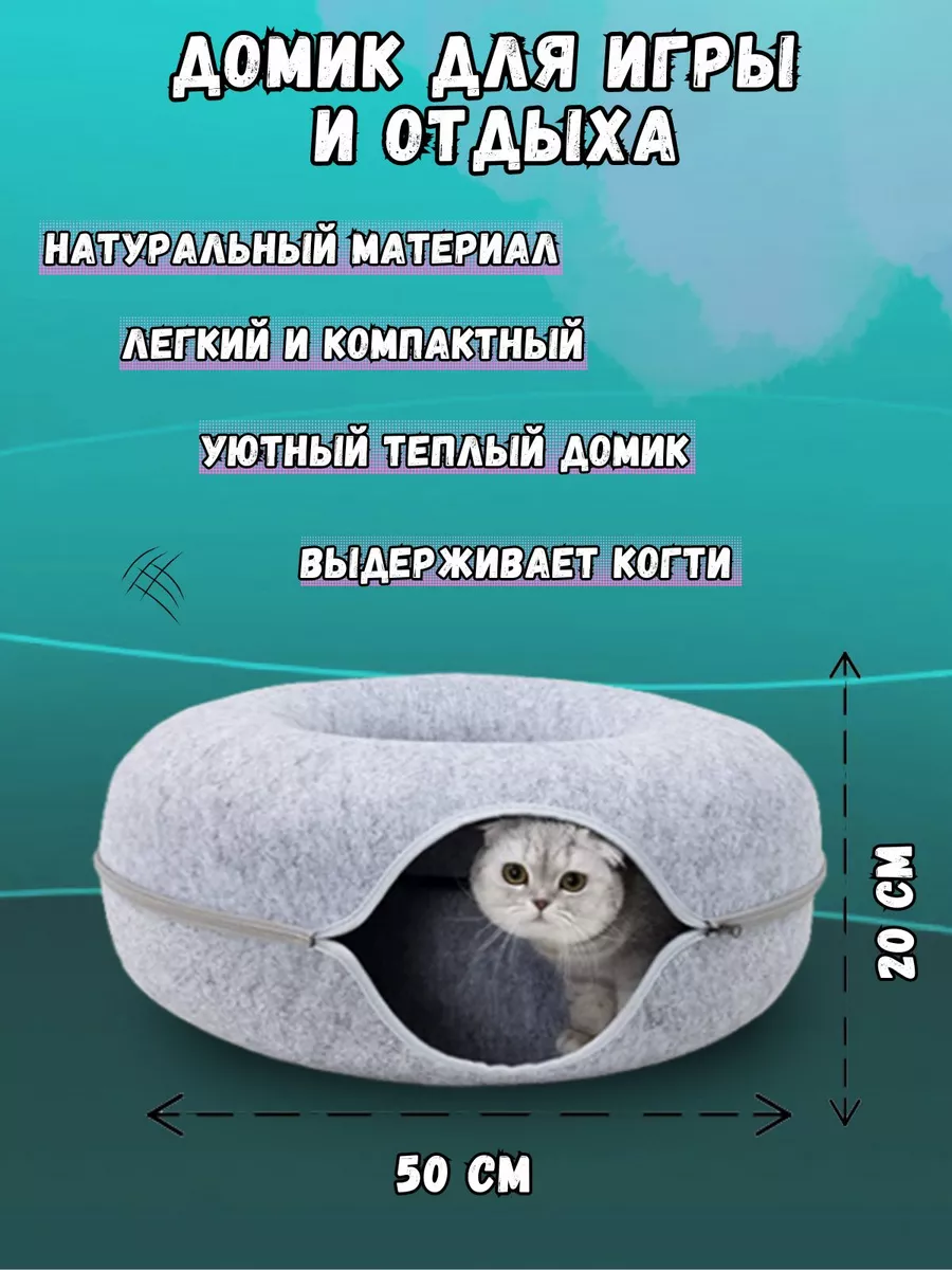 Кошки Мира