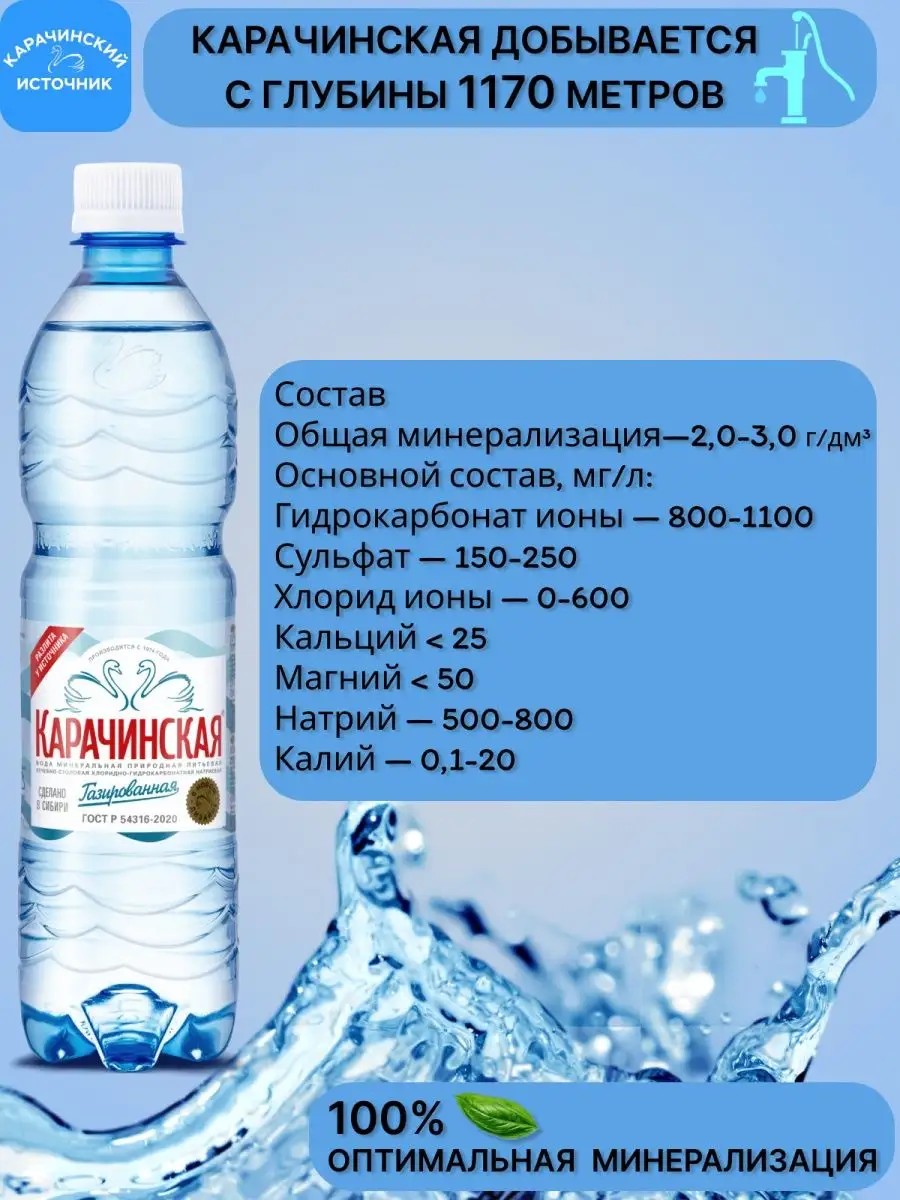 Минеральная вода Карачинская минералка газированная 0,5л12шт Карачинский  Источник купить по цене 684 ₽ в интернет-магазине Wildberries | 163959172