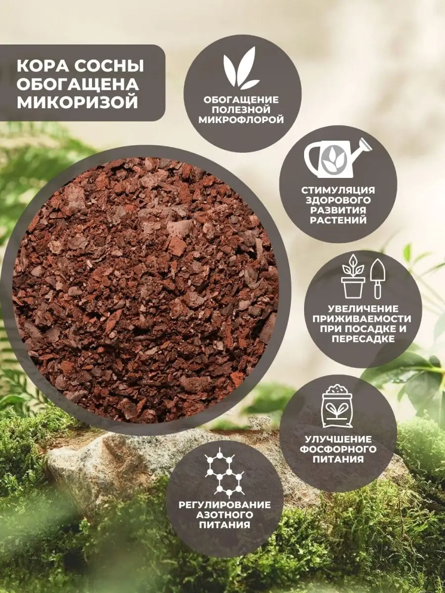 Кора сосны для растений 2 л Orchimania купить по цене 184 ₽ в  интернет-магазине Wildberries | 164019696