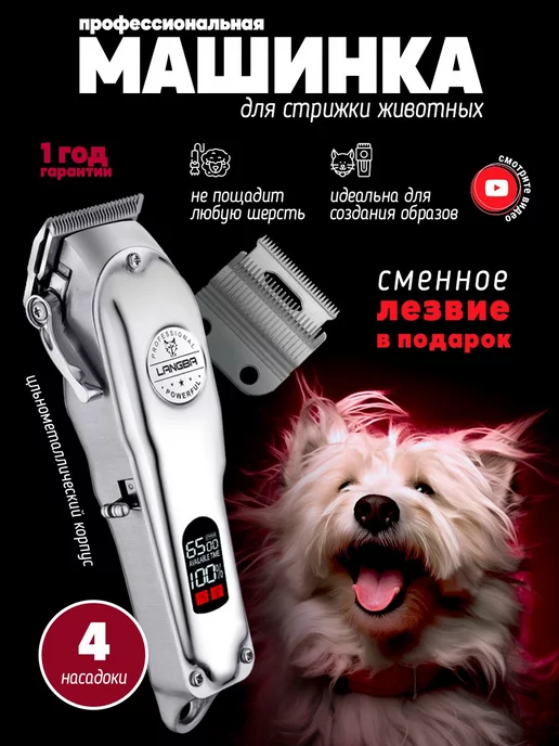 Груминг для домашних животных в Волгограде: адреса, цены, отзывы