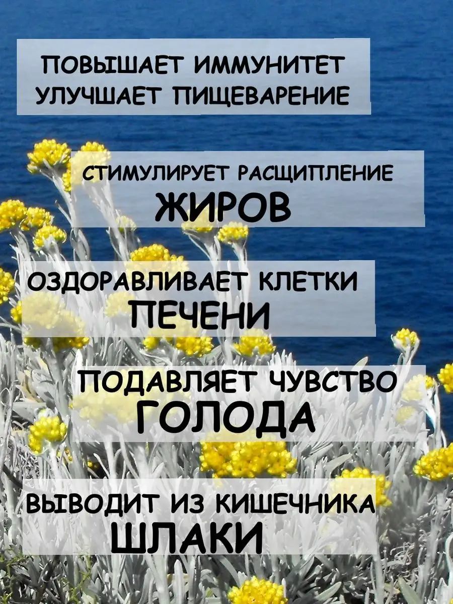 Бессмертник сушеный Дерево Любви купить по цене 296 ₽ в интернет-магазине  Wildberries | 165163624