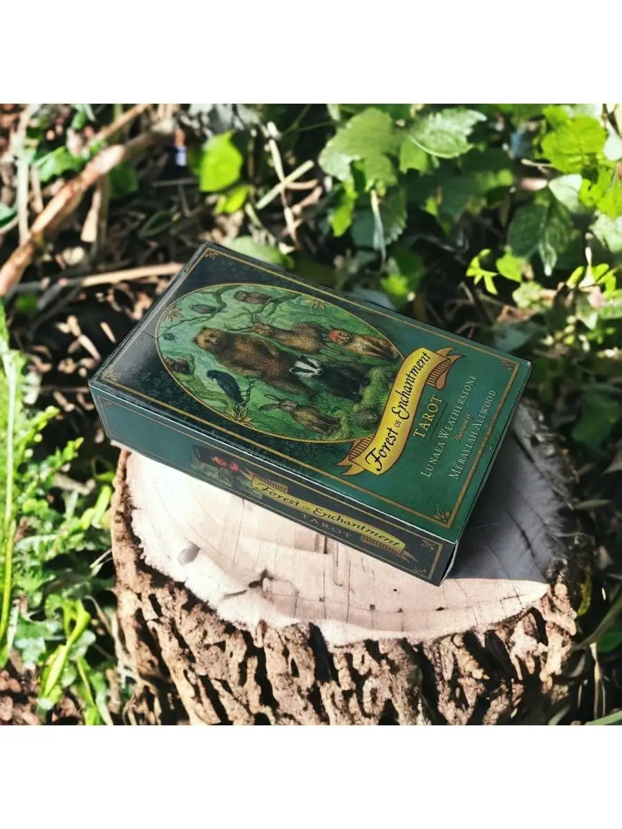 Карты Таро Зачарованного Леса Forest of Enchantment Tarot GamesFamily  купить по цене 499 ₽ в интернет-магазине Wildberries | 165183917